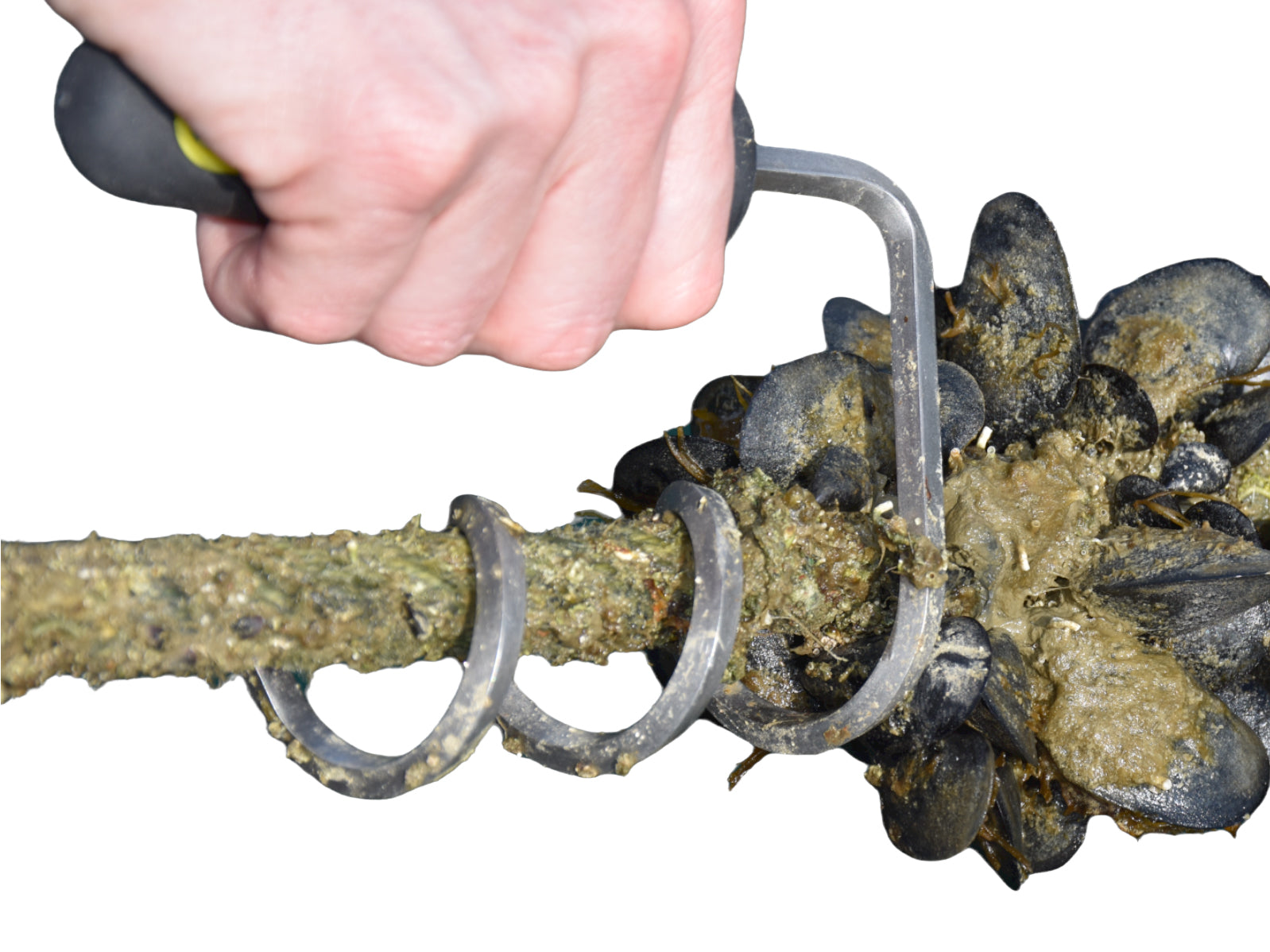 Boatasy Tauwerkreiniger - Effektive Reinigung für bewachsenes Tauwerk