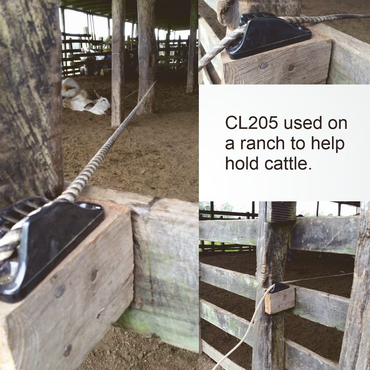 Clamcleat® CL205 Major Klemme 10-16 mm - Nylon Tauklemme