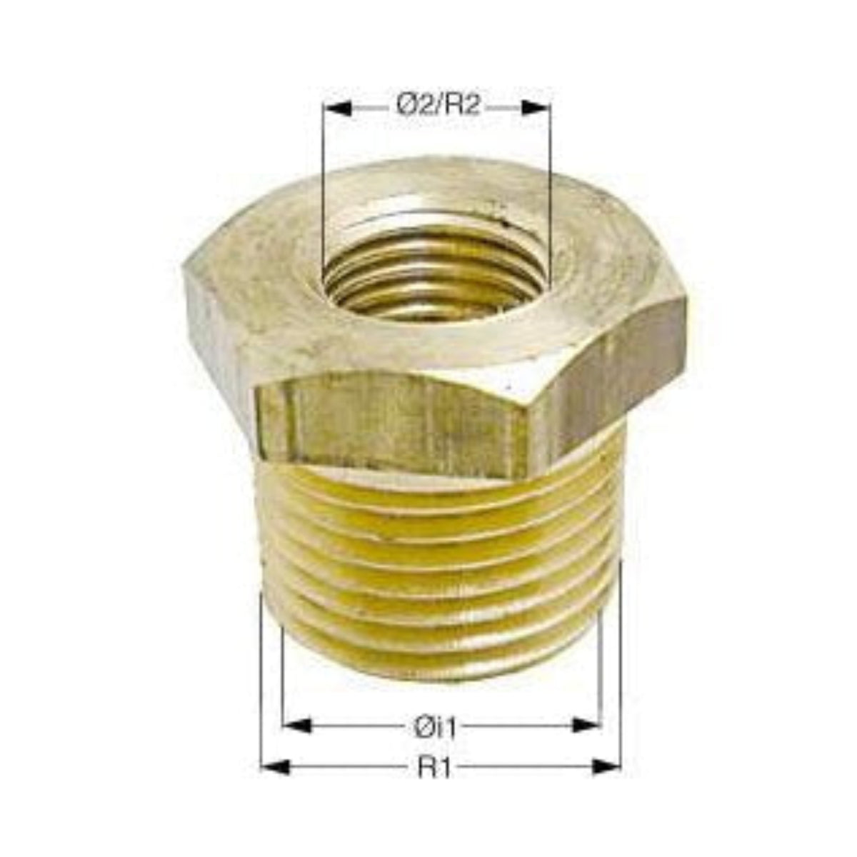 Reduzierstück Messing Außen-/Innengewinde - Alle Größen 3/8 bis 2 Zoll