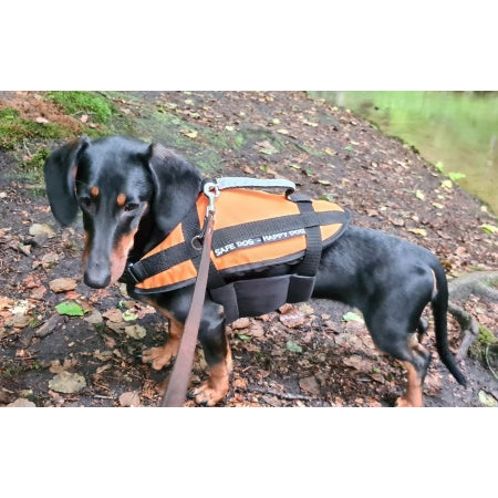 Hunde-Schwimmweste Orange – S-XL – 0-60 kg – Mit Haltegurt & Ring