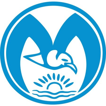 Mikrofasertuch EcoClean 37x37cm grau – 40 Stück – kostengünstig & effektiv