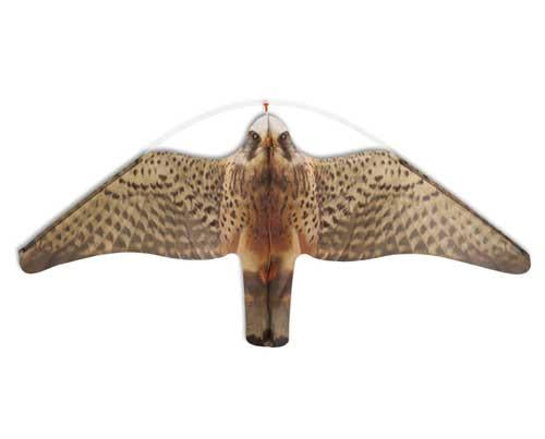 Stopgull Falcon - Vogelabwehr mit Teleskopstange 5m oder 7m